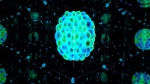 nuclear146