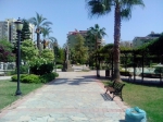 IMG_20140809_144425