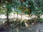 IMG_20140809_144607
