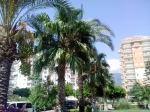 IMG_20140809_144817