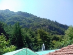 IMG_20140810_121050