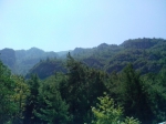 IMG_20140810_121055