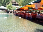 IMG_20140810_122926