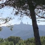 IMG_20190622_192257b