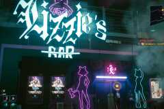 Cyberpunk-2077_20201215213251