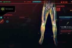 Cyberpunk-2077_20201216181728