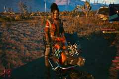 Cyberpunk-2077_20201223025239