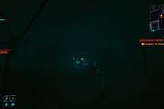Cyberpunk-2077_20201223035609