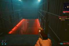Cyberpunk-2077_20201225042218
