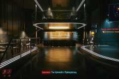 Cyberpunk-2077_20210105043759