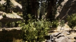 farcry5_104