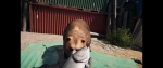 farcry5_154