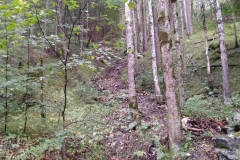 IMG_20190926_150903_1