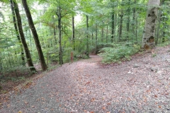 IMG_20190926_151003_1