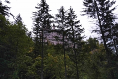 IMG_20190926_165649