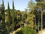 IMG_20190626_173156