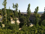 IMG_20190626_175322