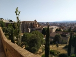 IMG_20190626_180053