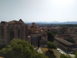 IMG_20190626_180317