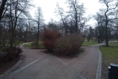 IMG_20200103_162209