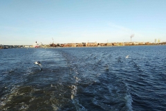 IMG_20200105_130710
