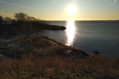 IMG_20200105_140349