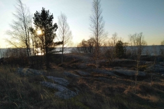 IMG_20200105_140914