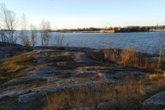 IMG_20200105_140919_1