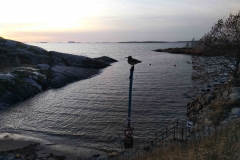 IMG_20200105_161659
