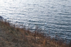 IMG_20200105_162003