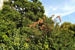 IMG_20190927_161959