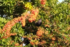 IMG_20190927_162006