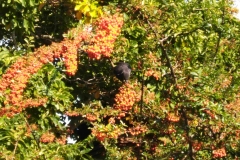IMG_20190927_162012