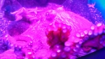 2016-07-02 16.05.11