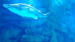 2016-07-02 17.29.24