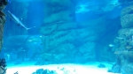 2016-07-02 18.47.46