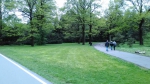 dream_museum_2 (133).jpg