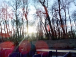 IMG_20141030_150943