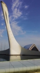 sochi(85)