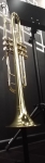 trumpet_110