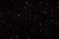 Дожить-до-рассвета_20201127052833