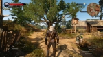 witcher3 2015-06-02 00-43-41-58