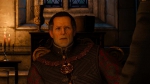 witcher3 2015-06-02 00-47-39-33
