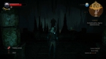 witcher3 2015-06-02 00-54-18-06