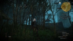 witcher3 2015-06-02 01-01-58-71