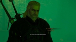 witcher3 2015-06-02 01-19-36-18