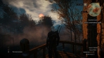 witcher3 2015-06-02 01-33-43-09