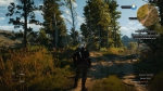 witcher3 2015-06-03 23-16-07-86