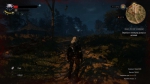 witcher3 2015-06-03 23-22-55-63