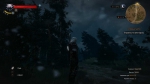 witcher3 2015-06-03 23-32-34-40